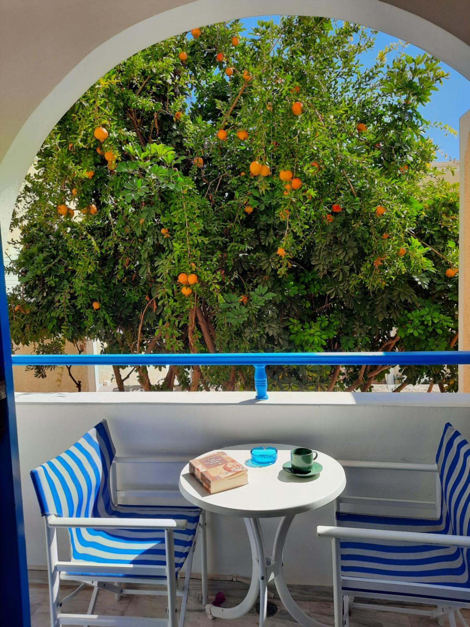 Hotel Zeus Kamari  Ngoại thất bức ảnh